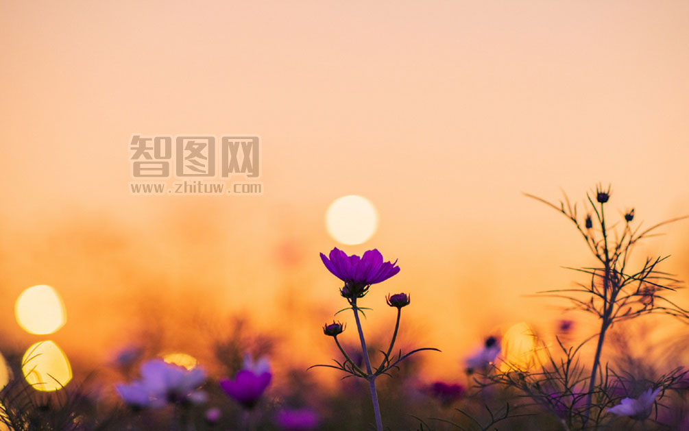 资本寒冬里，这名“学霸创业者”获红杉数千万A轮投资 